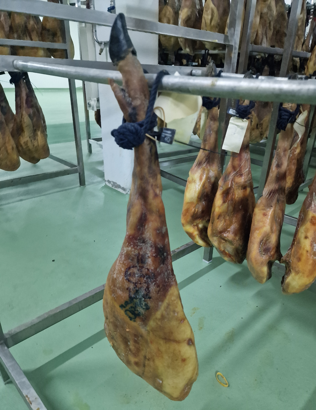 Jamón de Bellota 100% Ibérico | Selección TOP 5 | 2 Montaneras+
