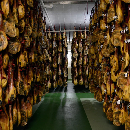 Bodega