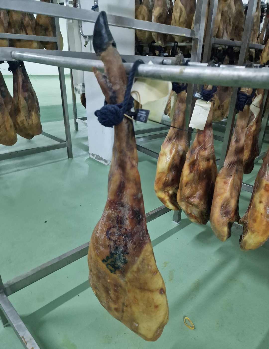 Prosciutto di ghianda 100% iberico - Selezione TOP 5 PASSION