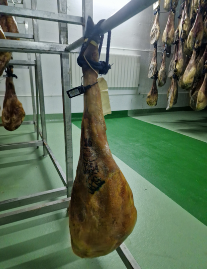 Prosciutto di ghianda 100% iberico - Selezione TOP 5 PASSION